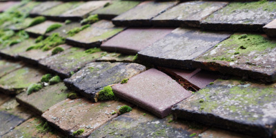 Ilkeston roof repair costs